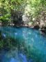 A sink hole at Leon Sinks, FL