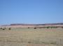 Flat rocky outcrop, New Mexico