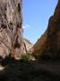 Capitol gorge, Capitol Reef NP, Utah