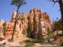 Hoodoos, Bryce Canyon national park, UT