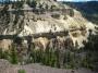 Bryce-style hoodoos in Yellowstone, WY