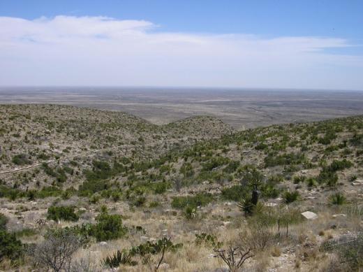 Desert, New Mexico