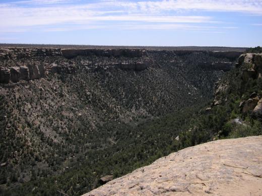 Canyon, Mesa Verde, CO