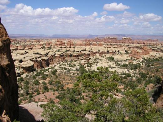 Mushroom field, Canyonlands national park, UT