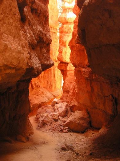 Wall Street, Bryce Canyon national park, UT