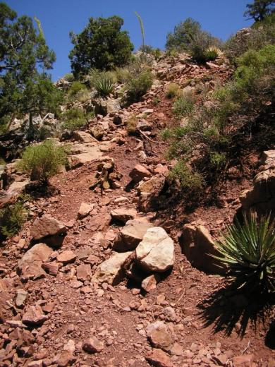 The 'trail', 45 degree slope upward, Grand Canyon