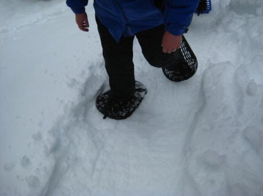 Snow shoes, Rainier, WA