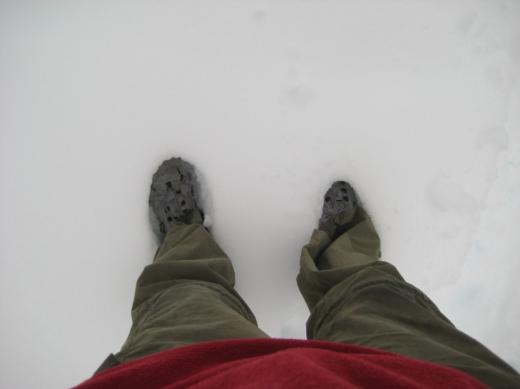 I needed snowshoes, Rainier, WA