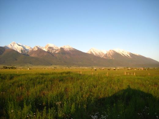 Montana meadows and mountains