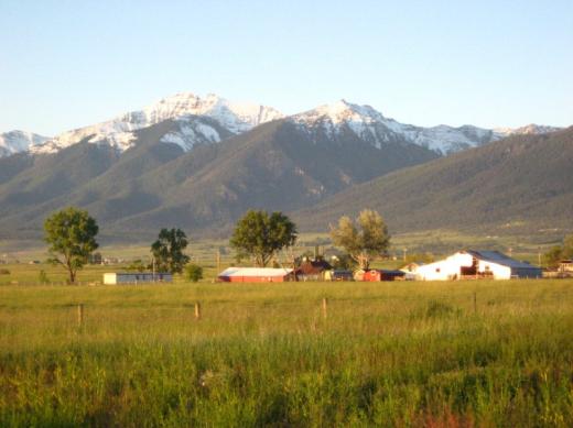 Montana meadows and mountains