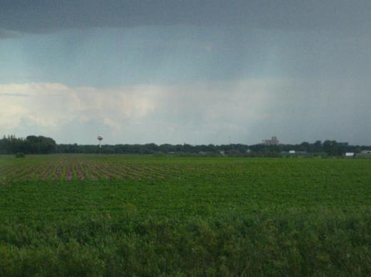 Endless fields in Iowa