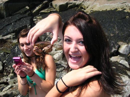 Girls with crabs, Arcadia National Park, ME