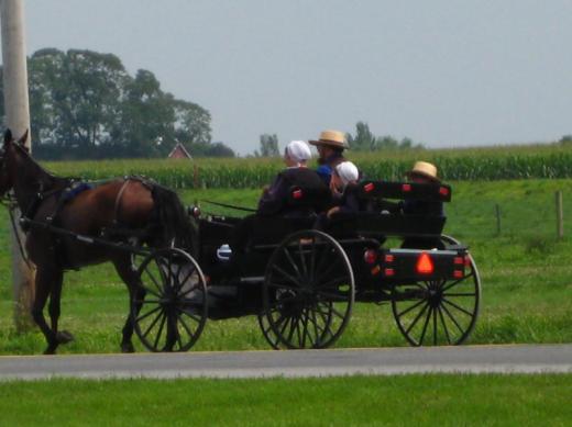 Amish family, Intercourse, PA