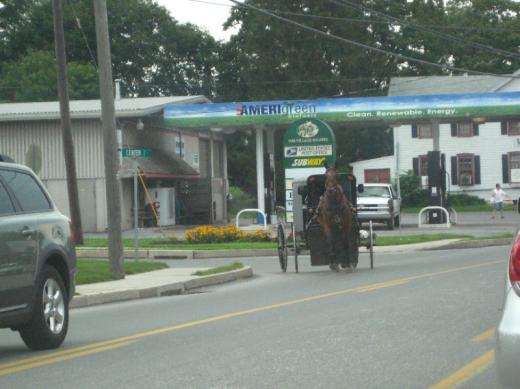Amish buggy, Intercourse, PA