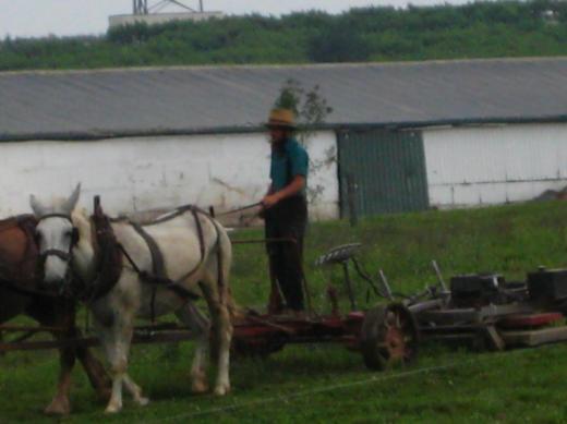 Amish farmer, Intercourse, PA