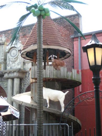 Goats in a Helter Skelter, bar, Memphis, TN